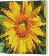 Very Wild Sunflower Wood Print