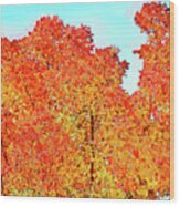 Vibrant Autumn Trees Wood Print