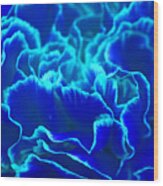 Vibrant Blue And Turquoise Carnation Flower Wood Print