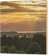 View From Overlook Park Wood Print