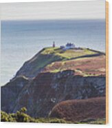 View Of The Trails On Howth Cliffs And Howth Head In Ireland Wood Print