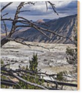View Of The Travertine And Mountains From The Pathway At Mammoth Hot Springs Wood Print