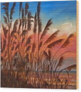 View Thru Seaoats Sold Wood Print