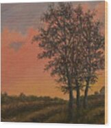 Vineyard Sundown Wood Print
