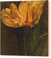 Vintage 2017 Tulip Wood Print