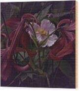 Vintage Asiatic Lilies Wood Print