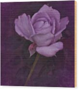 Vintage August Purple Rose Wood Print