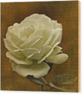 Vintage November White Rose Wood Print