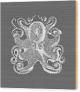 Vintage Octopus Illustration Wood Print