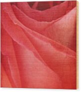 Vintage Rose Wood Print