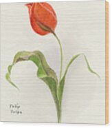 Vintage Tulip Watercolor Wood Print