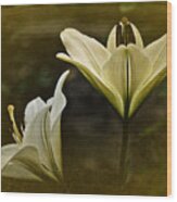 Vintage Two Lilies Wood Print