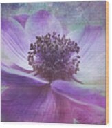 Vision De Violette Wood Print