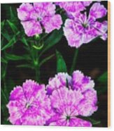 Vivant Pink And White Flowers Wood Print