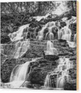 Vogel State Park Waterfall Wood Print
