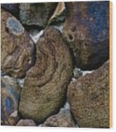 Volcanic Rock Wall Wood Print