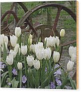 Wagon Wheel Tulips Wood Print
