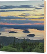 Waiting For Sunrise, Acadia National Park Wood Print