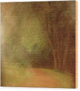 Walking Into A Dream - Holmdel Park Wood Print