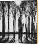 Walnut Grove Fall Evening Wood Print