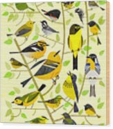 Warblers 1 Wood Print