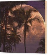 Warm Tropical Nights Wood Print