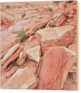 Wash 4 Color In Valley Of Fire Wood Print