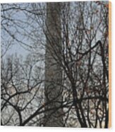 Washington Monument Behind Trees Wood Print