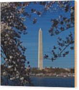 Washington Monument Wood Print