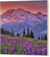 Washington, Mt Rainier National Park - 05 Wood Print