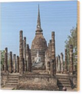 Wat Sa Si Wihan And Chedi Dthst0087 Wood Print