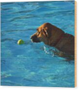 Water Dogs Series 8 Wood Print