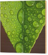Water Droplets On Lemon Leaf Wood Print