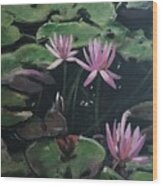 Water Lilies Wood Print