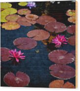 Water Lily World Wood Print