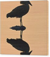 Waterbird Silhouette At Dusk Wood Print