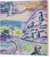 Watercolor - Alaska Seabird Gathering Wood Print