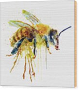 Watercolor Honey Bee Wood Print