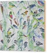 Watercolor - Birds Of Wildsumaco Wood Print