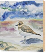 Watercolor - Double-banded Plover On The Beach Wood Print