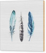 Watercolor Feathers Wood Print