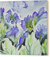 Watercolor - Rocky Mountain Wildflowers Wood Print