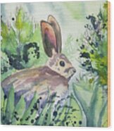 Watercolor - Snowshoe Hare In The Summer Wood Print