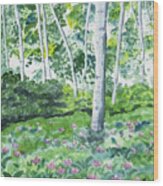 Watercolor - Spring Forest And Flowers Wood Print