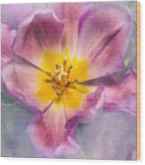 Watercolor Tulip Wood Print