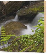 Waterfall 9271 Wood Print