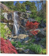Waterfall At Maymont Wood Print