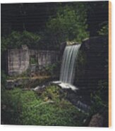 Waterfall At Paradise Springs Wood Print