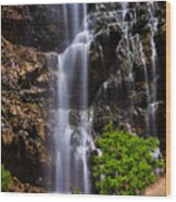 Waterfall Canyon Wood Print