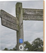 Weathered Route Marker Wood Print